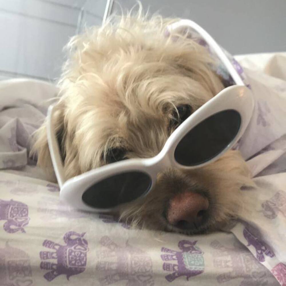 Meet your Posher, Sally